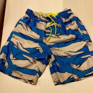 Carters brand whale swim trunks, size 6